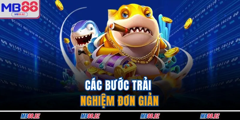 Các bước trải nghiệm đơn giản