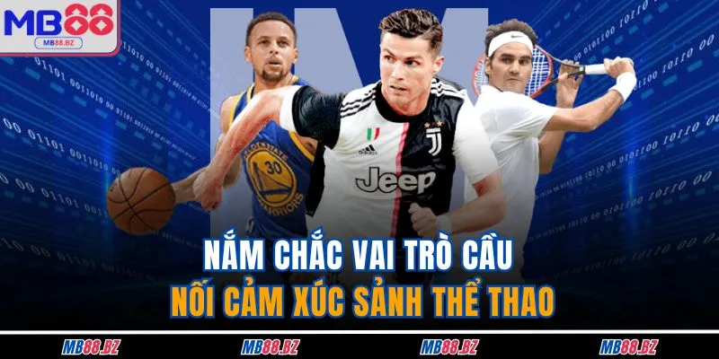 Nắm chắc vai trò cầu nối cảm xúc sảnh thể thao